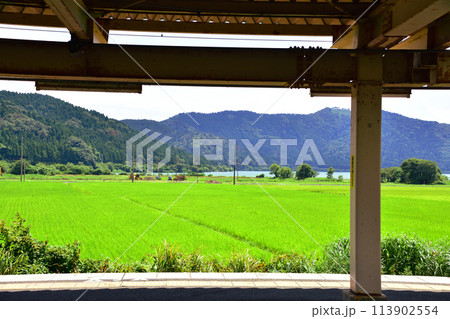 北陸本線の敦賀駅から米原駅までの車窓風景(2022年夏) 北陸本線の敦賀駅から米原駅までの車窓風景(2022年夏) 113902554