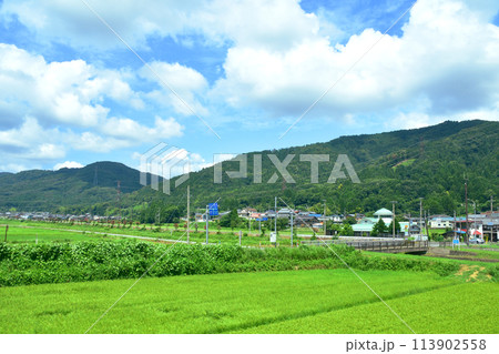 北陸本線の敦賀駅から米原駅までの車窓風景(2022年夏) 113902558