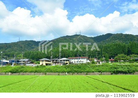 北陸本線の敦賀駅から米原駅までの車窓風景(2022年夏) 113902559
