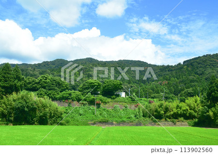 北陸本線の敦賀駅から米原駅までの車窓風景(2022年夏) 113902560