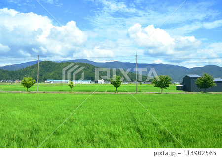 北陸本線の敦賀駅から米原駅までの車窓風景(2022年夏) 113902565