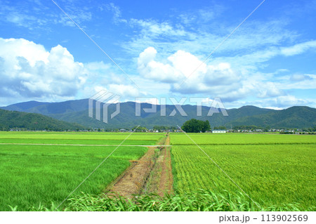 北陸本線の敦賀駅から米原駅までの車窓風景(2022年夏) 113902569