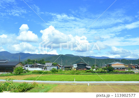 北陸本線の敦賀駅から米原駅までの車窓風景(2022年夏) 113902577