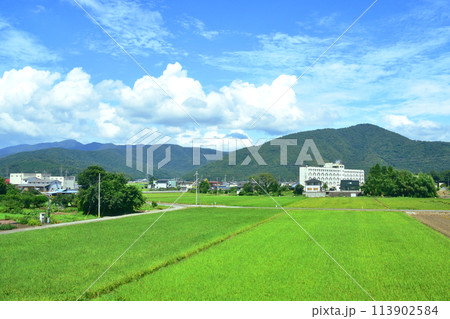 北陸本線の敦賀駅から米原駅までの車窓風景(2022年夏) 113902584