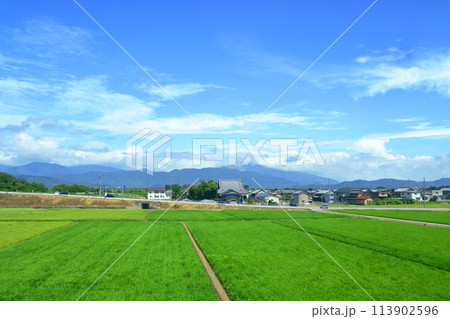 北陸本線の敦賀駅から米原駅までの車窓風景(2022年夏) 113902596