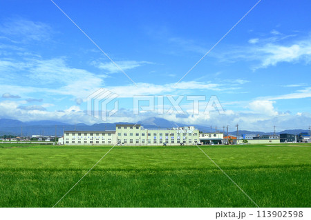 北陸本線の敦賀駅から米原駅までの車窓風景(2022年夏) 113902598