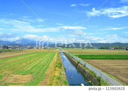 北陸本線の敦賀駅から米原駅までの車窓風景(2022年夏) 113902628