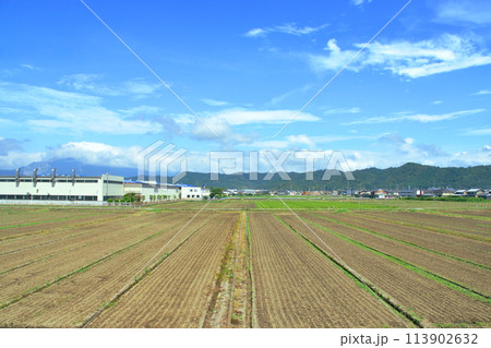 北陸本線の敦賀駅から米原駅までの車窓風景(2022年夏) 113902632