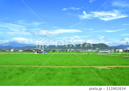 北陸本線の敦賀駅から米原駅までの車窓風景(2022年夏) 113902634