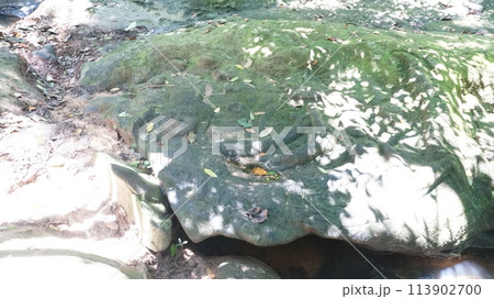 ヴィシュヌ神【カンボジア・クバール・スピアン】 113902700