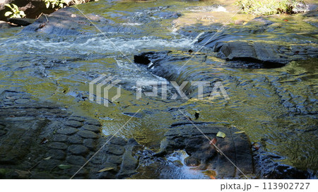 千本のリンガと神々の彫刻【カンボジア・クバール・スピアン】 113902727