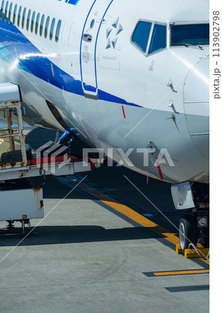 沖縄県　宮古島市　リゾート　島　夏休み　飛行機　宮古空港　午前　雲　全日空　預け荷物　カーゴ 113902798