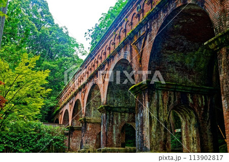 京風景・青葉の候 京風景・青葉の候 113902817