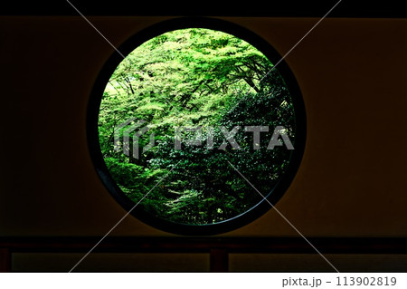 京風景・青葉の候 京風景・青葉の候 113902819