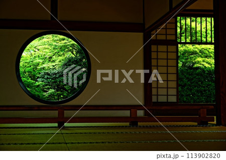 京風景・青葉の候 京風景・青葉の候 113902820