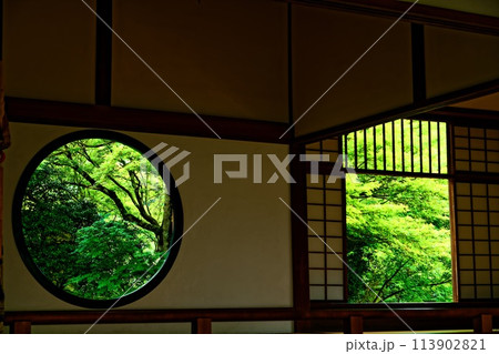 京風景・青葉の候 113902821