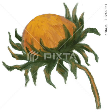 Sunflower oil painting impressionism brush vincent van gogh style summer flowers illustration art 113902864