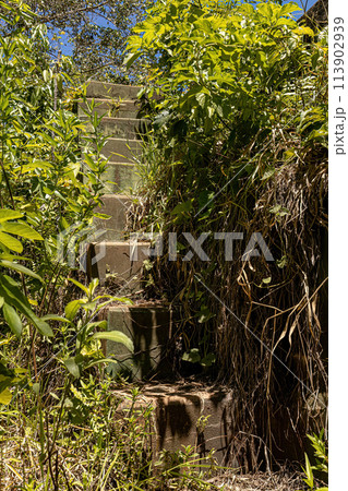 stairs in old abandoned outdoor building stairs in old abandoned outdoor building 113902939