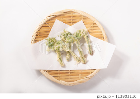 ［山形県産］こごみ　天ぷら 113903110