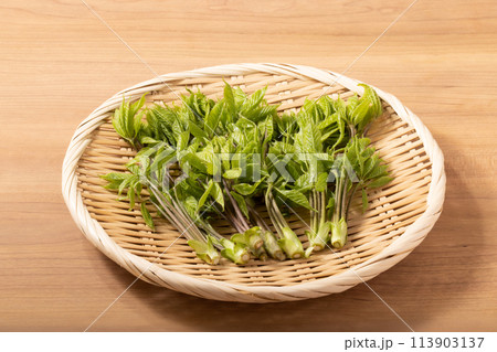 ［山形県産］コシアブラ　（山菜） 113903137