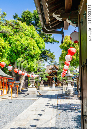 京都市上京区の大将軍八神社(方位神の大将軍) 拝殿と御神木 京都市上京区の大将軍八神社(方位神の大将軍) 拝殿と御神木 113903181