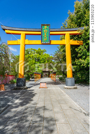 京都市北区平野宮本町の平野神社（八姓の祖神）　鳥居 113903210