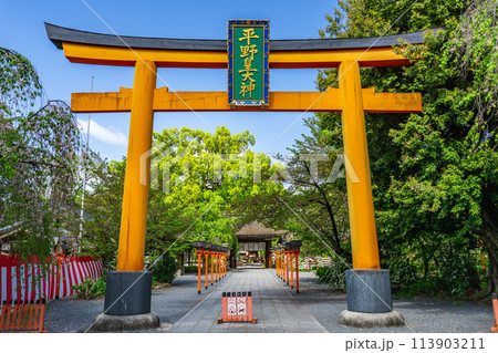 京都市北区平野宮本町の平野神社(八姓の祖神) 鳥居 京都市北区平野宮本町の平野神社(八姓の祖神) 鳥居 113903211