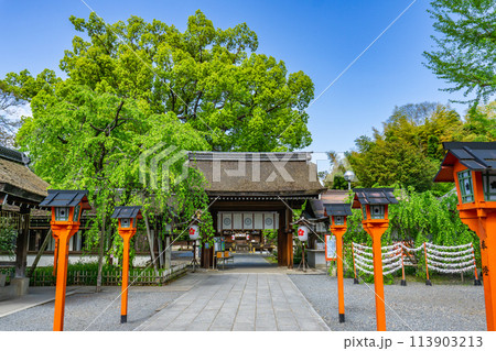 京都市北区平野宮本町の平野神社(八姓の祖神) 神門 京都市北区平野宮本町の平野神社(八姓の祖神) 神門 113903213