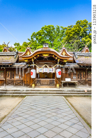 京都市北区平野宮本町の平野神社（八姓の祖神）　中門と本殿（重要文化財） 113903218
