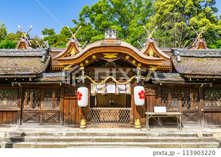 京都市北区平野宮本町の平野神社(八姓の祖神) 中門と本殿(重要文化財) 京都市北区平野宮本町の平野神社(八姓の祖神) 中門と本殿(重要文化財) 113903220