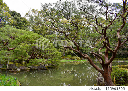 【京都観光】平安神宮神苑_白虎池 113903296