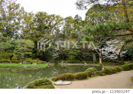 【京都観光】平安神宮神苑_白虎池 113903297