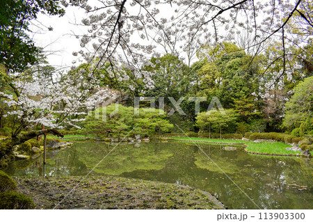 【京都観光】平安神宮神苑_白虎池 【京都観光】平安神宮神苑_白虎池 113903300