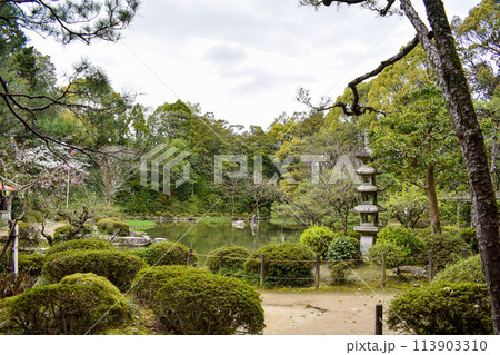 【京都観光】平安神宮神苑_神社の庭園たる白虎池 【京都観光】平安神宮神苑_神社の庭園たる白虎池 113903310