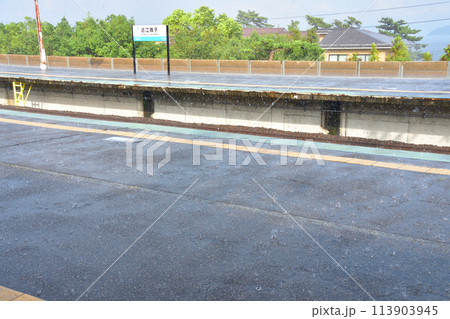 湖西線の車窓風景(2022年夏) 113903945