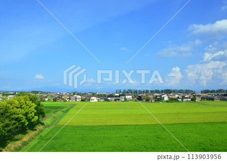 湖西線の車窓風景(2022年夏) 113903956