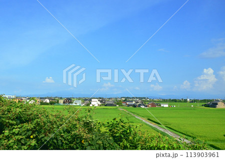 湖西線の車窓風景(2022年夏) 湖西線の車窓風景(2022年夏) 113903961