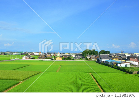 湖西線の車窓風景(2022年夏) 113903976