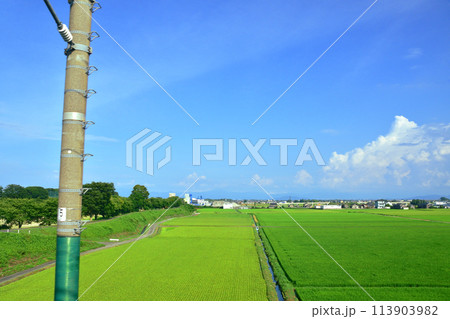 湖西線の車窓風景(2022年夏) 113903982