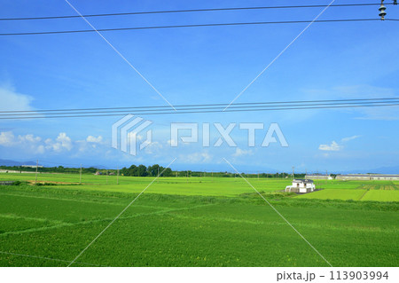 湖西線の車窓風景(2022年夏) 113903994