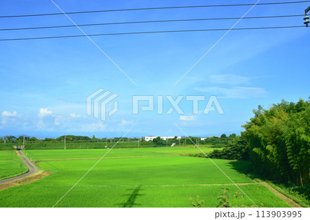 湖西線の車窓風景(2022年夏) 湖西線の車窓風景(2022年夏) 113903995