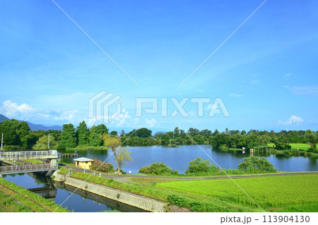 湖西線の車窓風景(2022年夏) 113904130