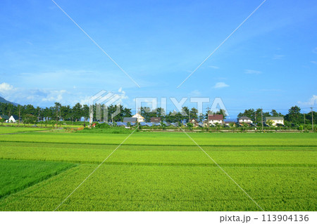湖西線の車窓風景(2022年夏) 湖西線の車窓風景(2022年夏) 113904136
