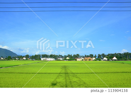 湖西線の車窓風景(2022年夏) 湖西線の車窓風景(2022年夏) 113904138