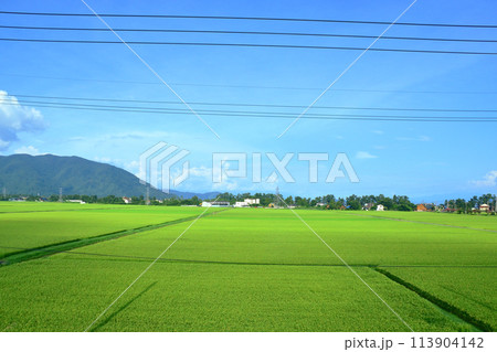 湖西線の車窓風景(2022年夏) 113904142