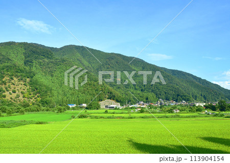 湖西線の車窓風景(2022年夏) 113904154