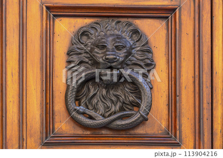 Old door with lion head door knob. Old door with lion head door knob. 113904216
