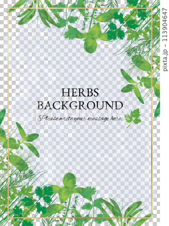 A4藥草框 A4藥草框 113904647