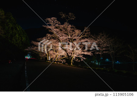 秋葉ダムとライトアップされた夜桜のある風景(静岡県) 113905106