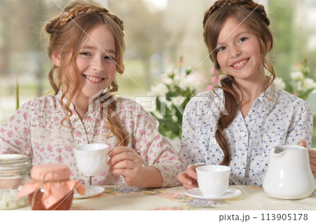 Portrait of two smiling little girls drinking tea at home 113905178